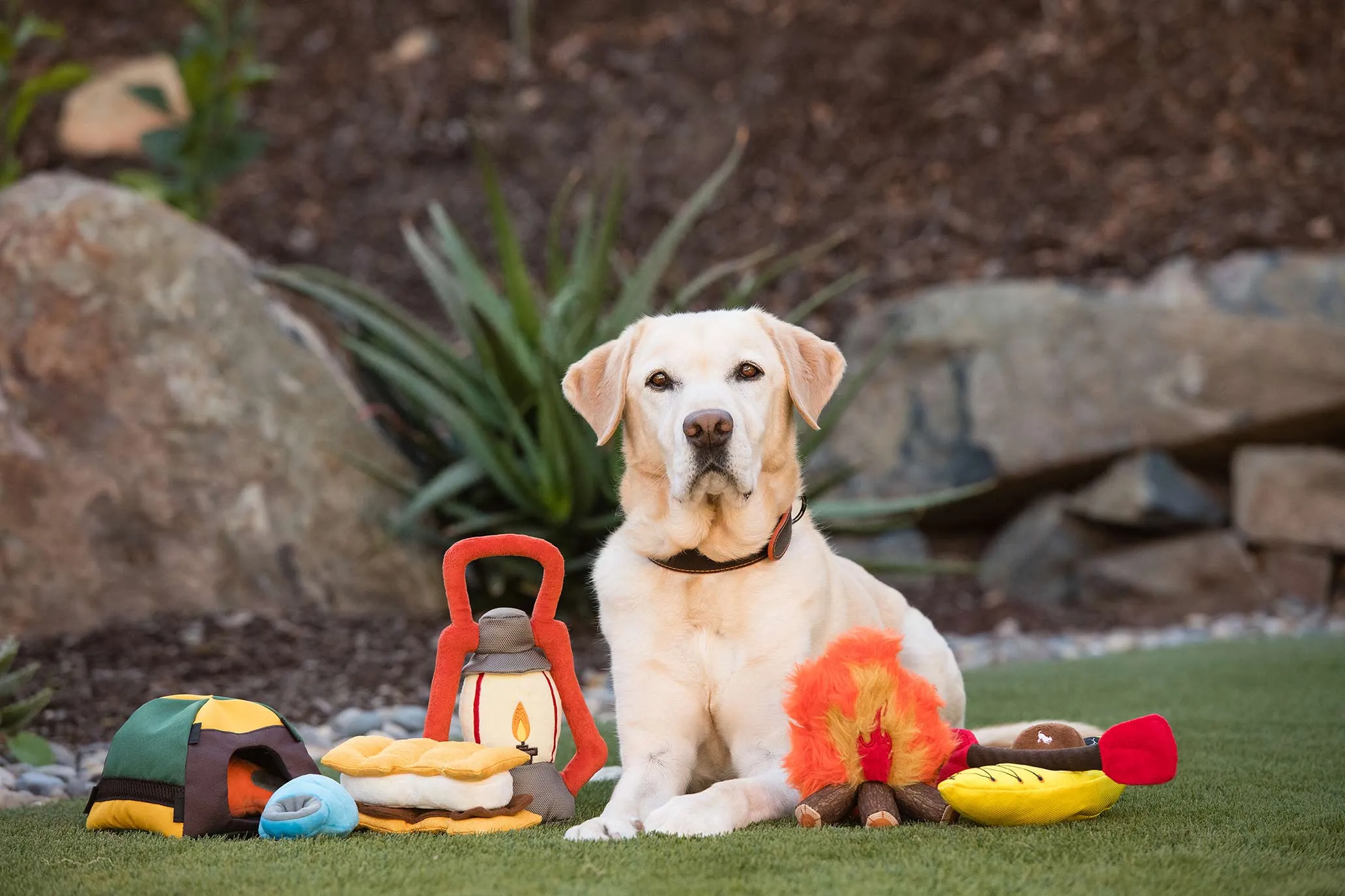 Camp Corbin Squeaky Plush Dog toys, Cozy Campfire