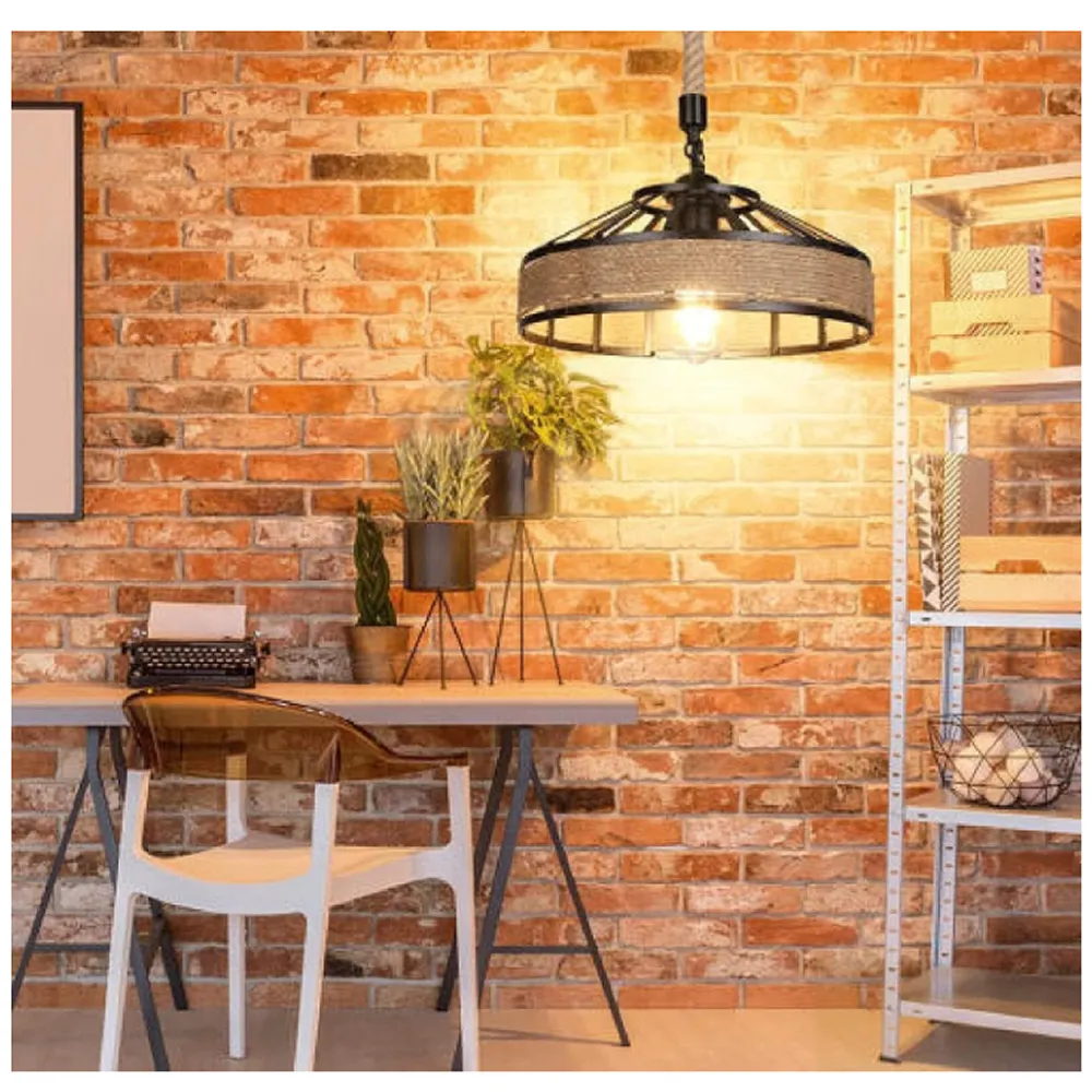 Iron Lampshade Ceiling Retro Lights Q24-10-23