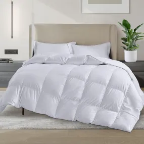 Martha Stewart 240 TC White Feather and Down Comforter - All Season, King