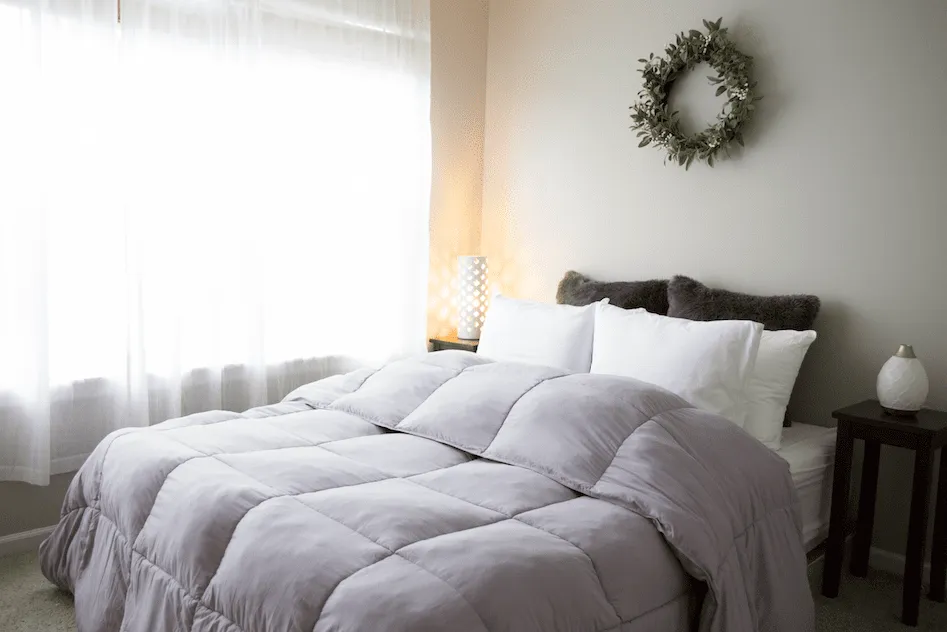 Pillowtex Essential Bedding Package | All Season Comforter with Matching Pillows