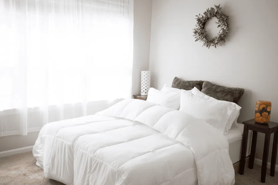 Pillowtex Essential Bedding Package | All Season Comforter with Matching Pillows