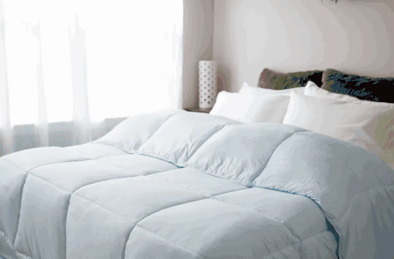 Pillowtex Essential Bedding Package | All Season Comforter with Matching Pillows