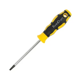 SCREWDRIVER TORX T25 6X100MM